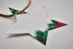 STARSEED with custom printing - image 4
