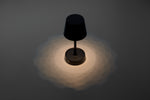TAPLAMB with custom printing - image 4