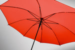 BRALA with custom printing - image 55