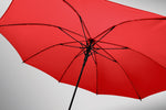 Full-Sized Umbrella – BRELA - image 28