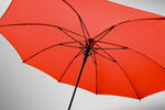 Full-Sized Umbrella – BRELA - image 57